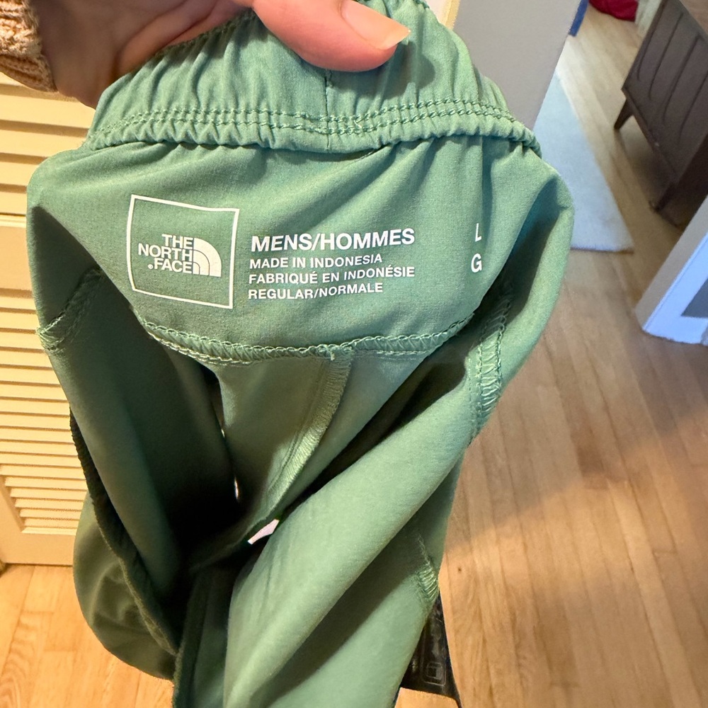 The North Face Seafoam Green Men's Wander 2.0 Shorts - Picture 4 of 4